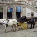 ���� ��������, �������, 59 ��� - ��������� 19 ������ 2023 � ������ ���� ����������