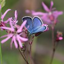  Nikolay,  -  28  2022    