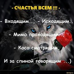 ���� ��������, ������, 41 ��� - ��������� 20 ������� 2022