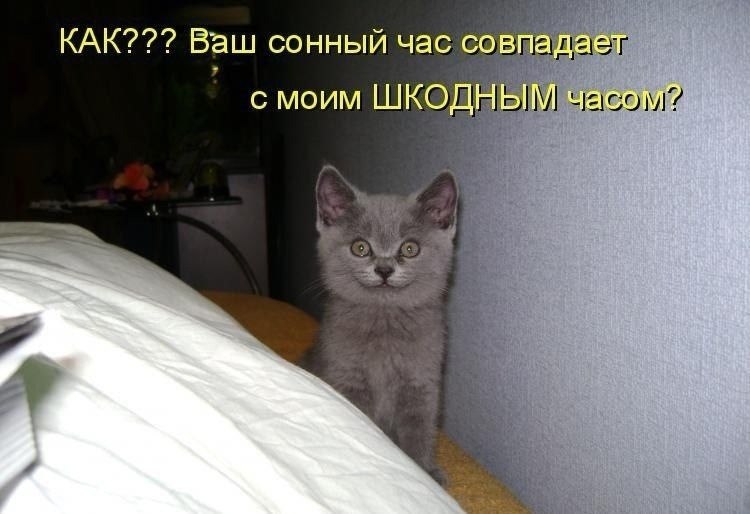    - 13  2022  11:54