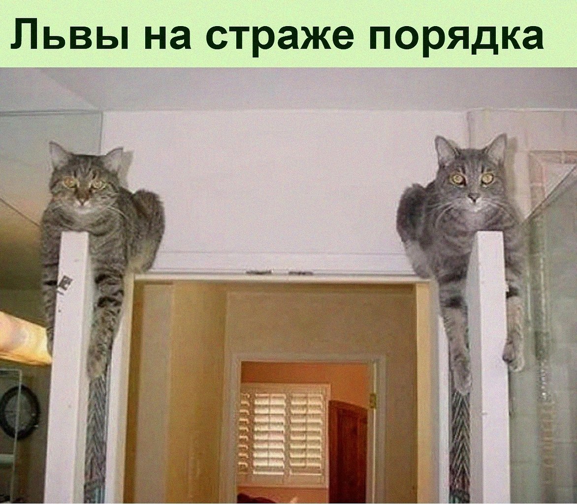  :D - 16  2022  14:43