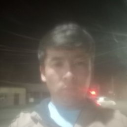 �����, ������, 37 ���