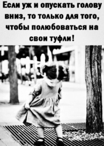   - 27  2022  11:19