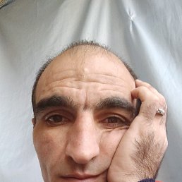 ���� �����, ������, 41 ��� - ��������� 1 ������� 2022