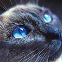 ���� �., ��������� - ��������� 13 ������� 2022 � ������ ���� ����������