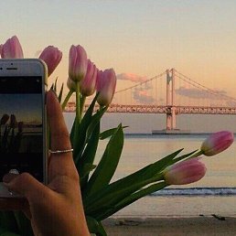 ������, ������, 62 ����