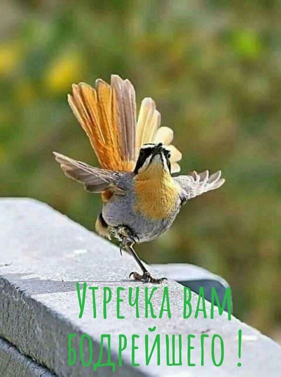   - 21  2022  04:47