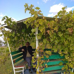 �����, ���, 65 ���