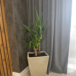 ���� �������, �����, 40 ��� - ��������� 22 ������� 2022