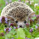 ���� ��������, ������ �������� - ��������� 25 ������ 2023