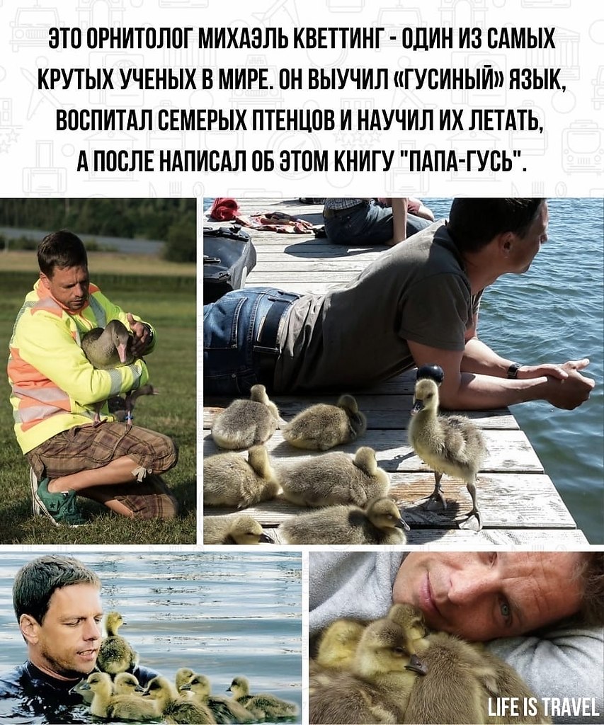 LIFE -  - 6  2022  03:28