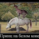 ���� �������, �����, 58 ��� - ��������� 14 ��� 2022