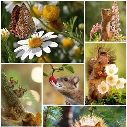  S, , 31  -  20  2022