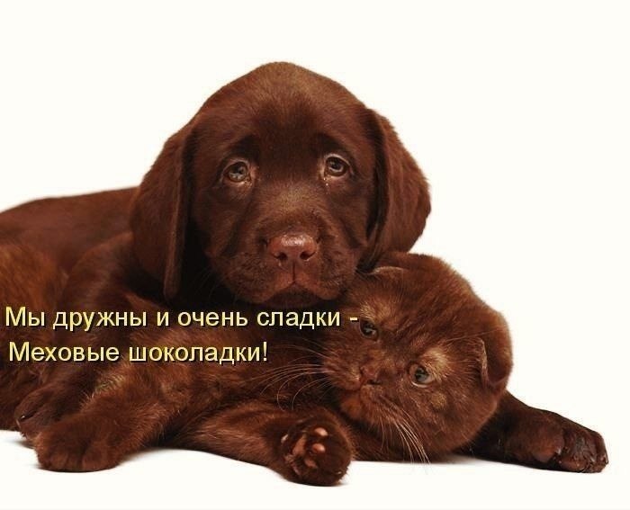    - 6  2022  22:24