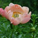 ���� �����, ����� - ��������� 13 ������� 2022 � ������ ���� ����������