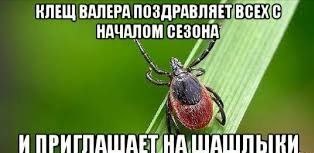Achtung! Achtung!     ..     ...