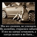  ,  , 71  -  10  2022    -     .