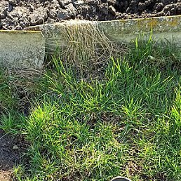 ������, �������, 44 ����