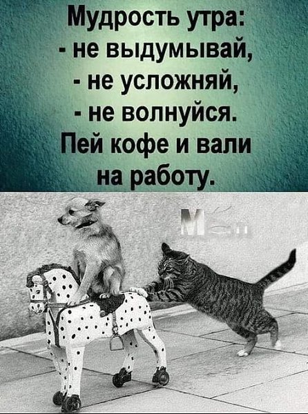   - 27  2023  08:41