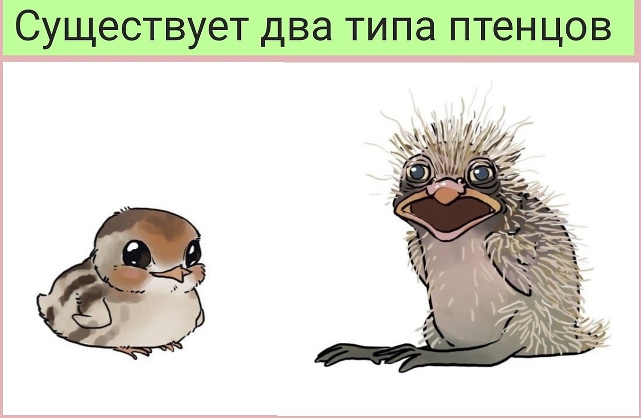 ������ ��������� :D - 11 ��� 2022 � 08:58