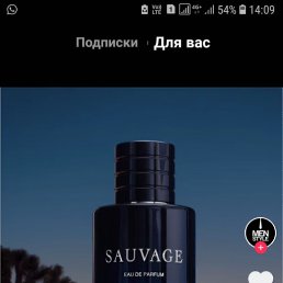  , , 53  -  9  2022