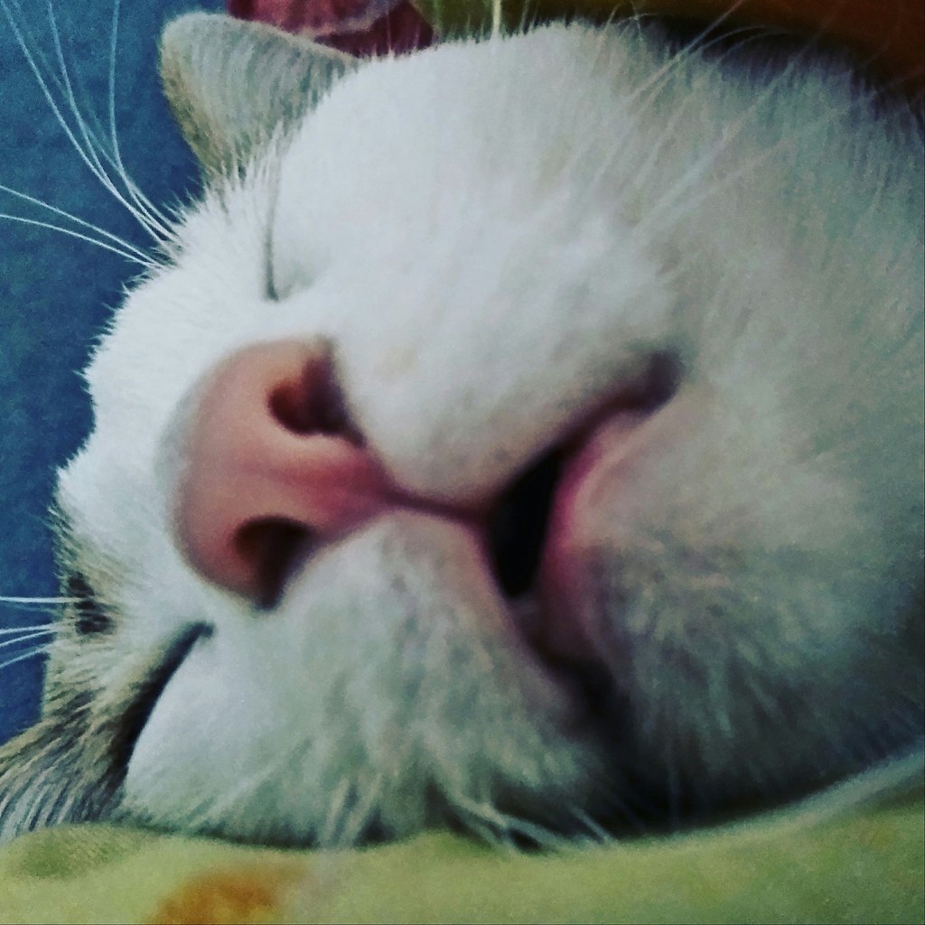      ,   . - 2