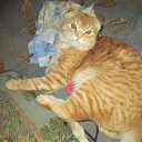 ���� ����, ����, 62 ���� - ��������� 15 ������ 2023 � ������ ���� ����������