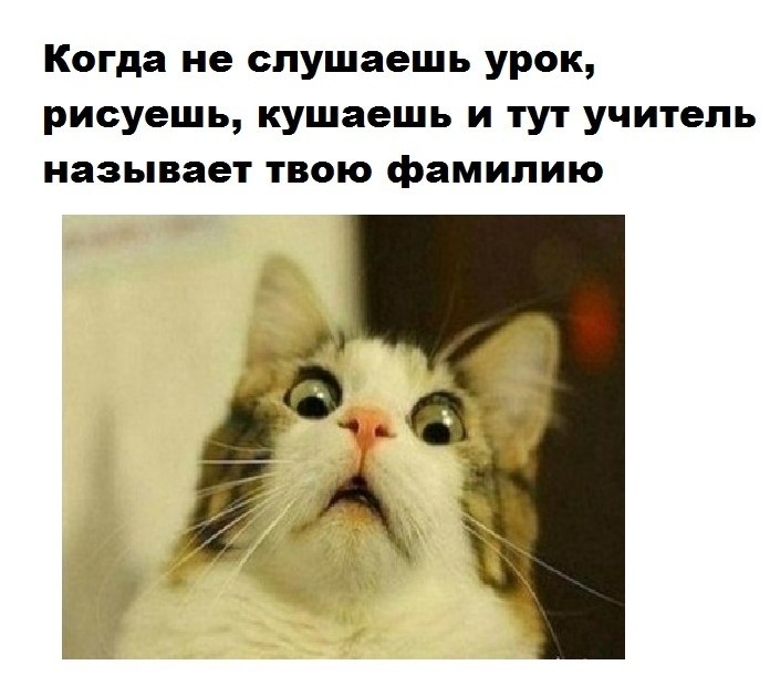    - 2  2022  16:18