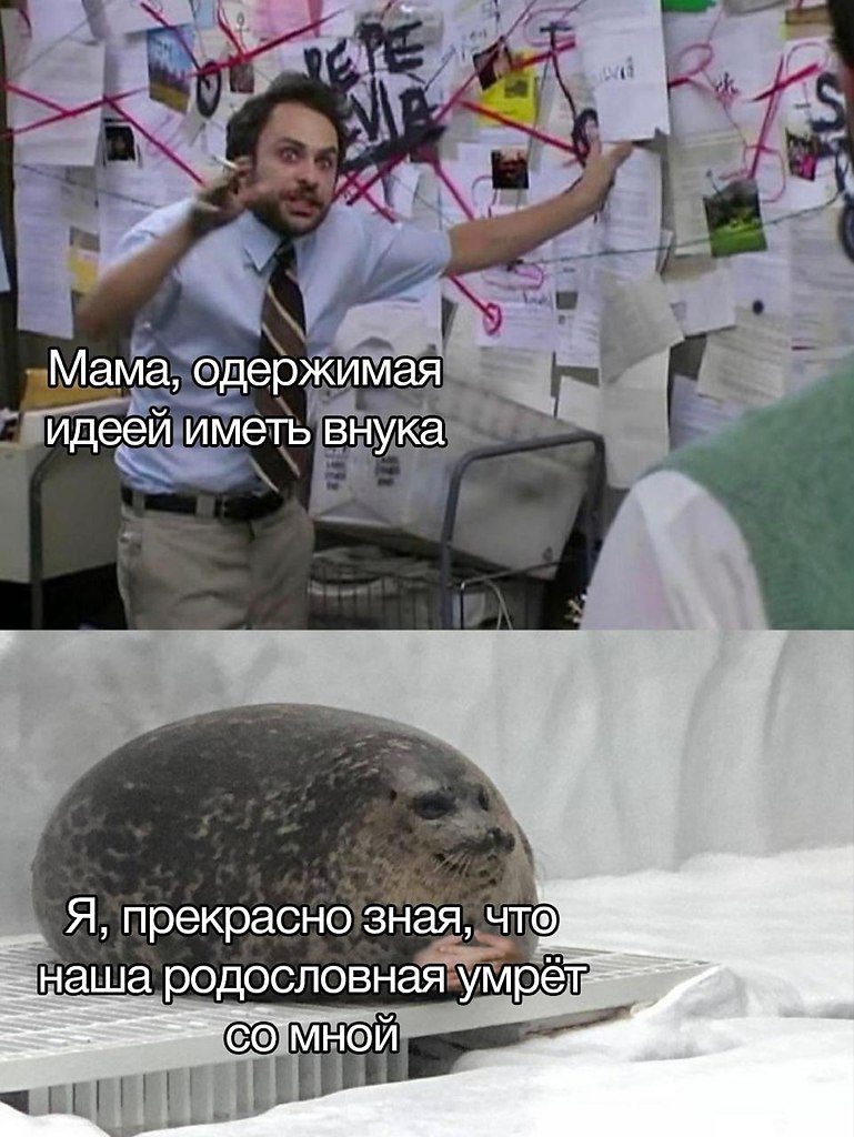    - 1  2022  17:42
