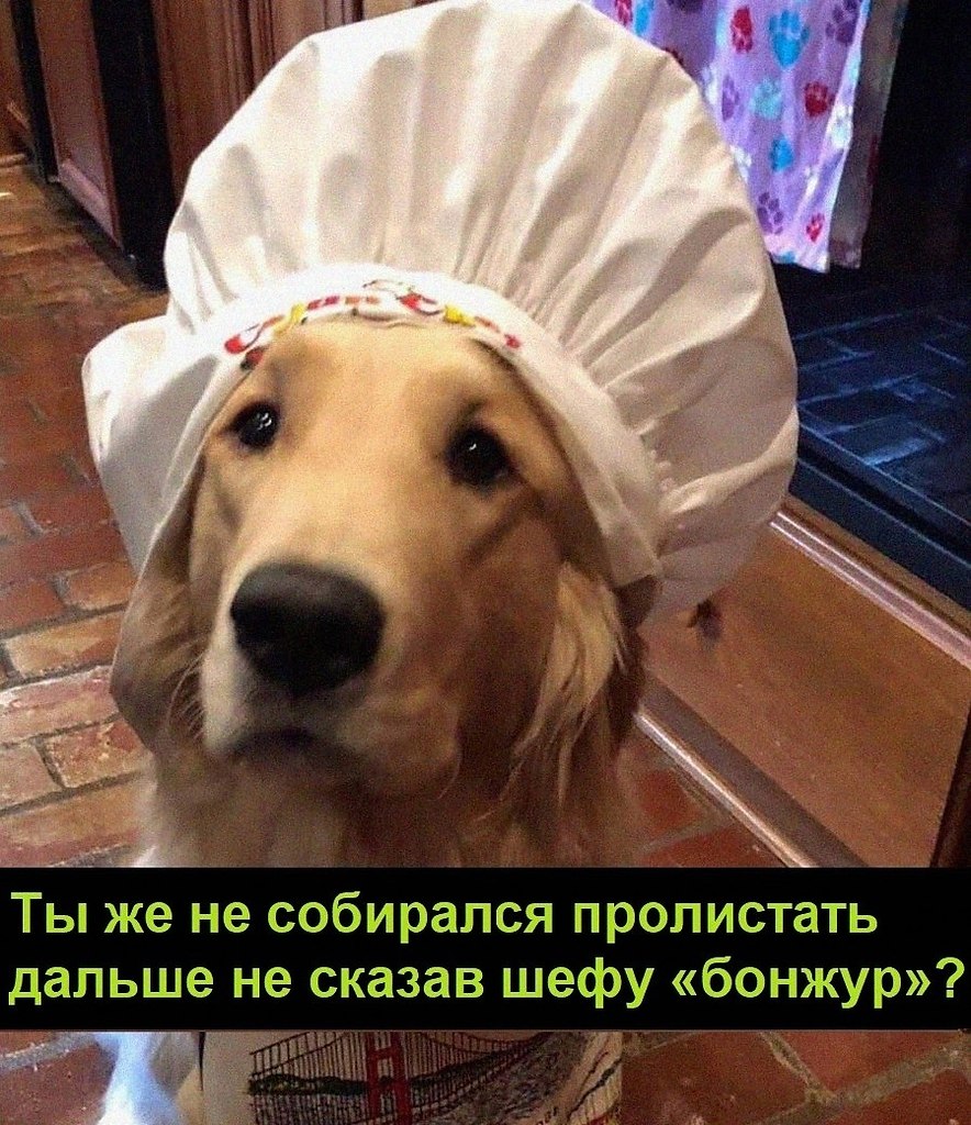   :D - 15  2022  10:40