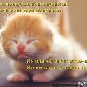 ���� ������, ������ - ��������� 9 ������ 2023 � ������ ������ ��������