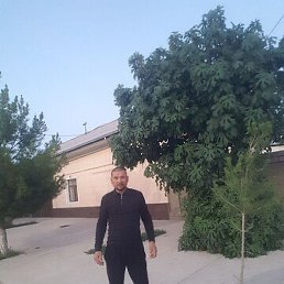 ����������, �����������, 43 ����