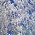 ���� ���������, ��������� - ��������� 10 ������� 2022 � ������ ���� ����������