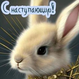 ������, ������, 61 ���