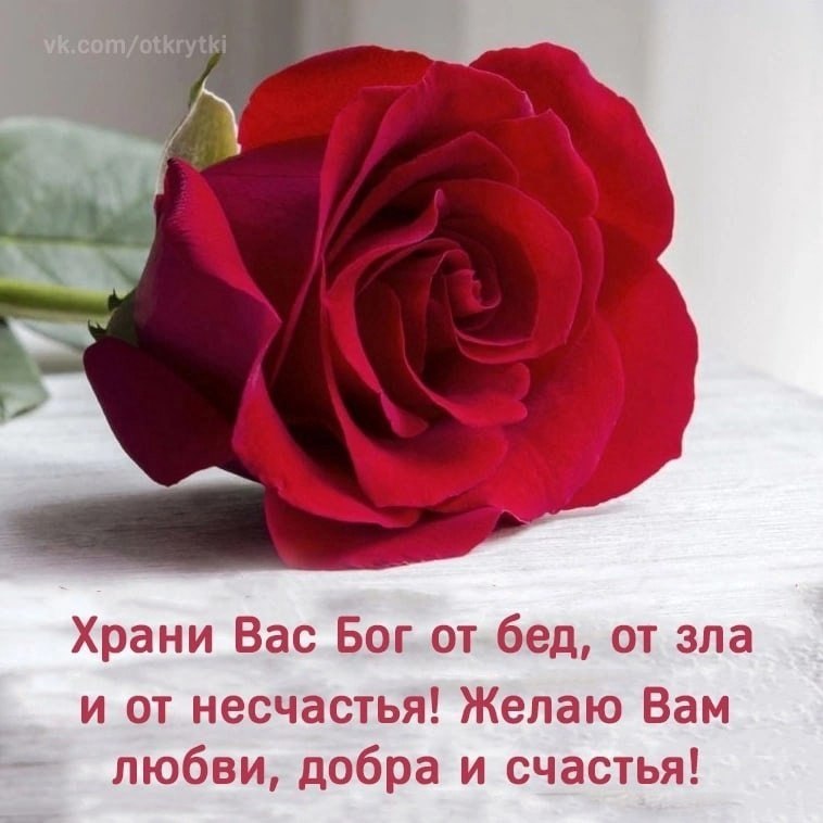 @@ - 2  2022  11:49