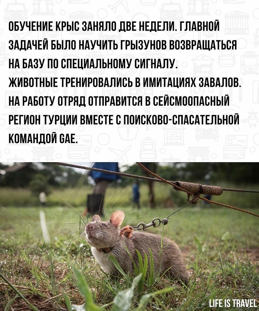 LIFE -  - 9  2022  15:54 - 3