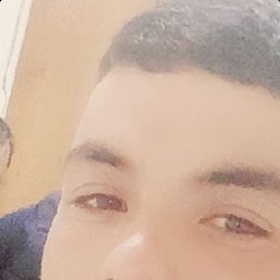 , , 28 