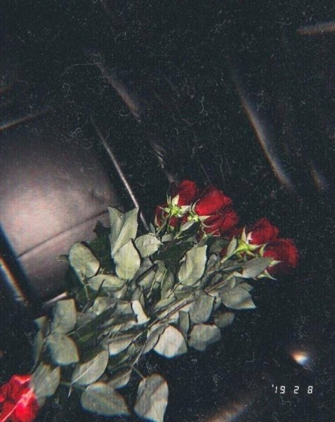 Давайте жить сегодня, пока мы живы! А завтра... «Завтра» может и не быть.