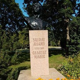 �����, ��������, 74 ����