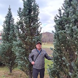 ����, �����������, 64 ����