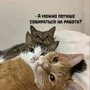 ���� ��������, ������, 65 ��� - ��������� 30 ������ 2023 � ������ ���� ����������