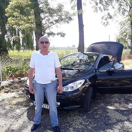 Zarkar, �������, 50 ���