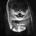 ���� Moonlight, ��������� - ��������� 14 ������ 2023 � ������ ������ ��������