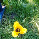 ���� ����, ������, 79 ��� - ��������� 5 ������� 2022