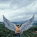 angel    