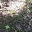 ���� ������, ������ ��������, 70 ��� - ��������� 18 ������ 2022 � ������ ���� ����������