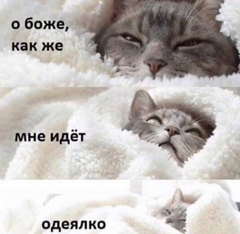    - 18  2022  23:27