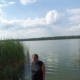 �������, ������, 50 ���