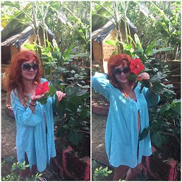 ���� ����, ���������, 53 ���� - ��������� 15 ������� 2022