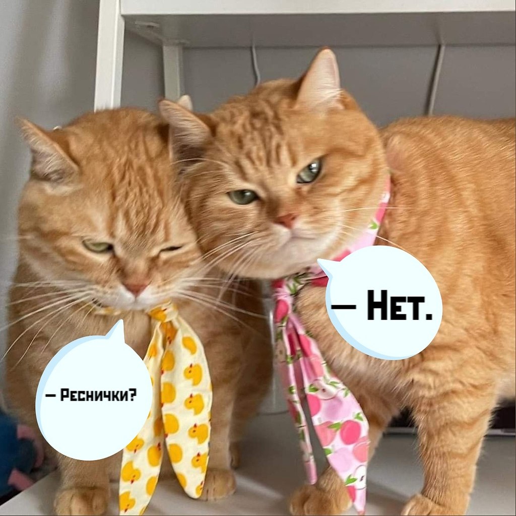 ... - 2